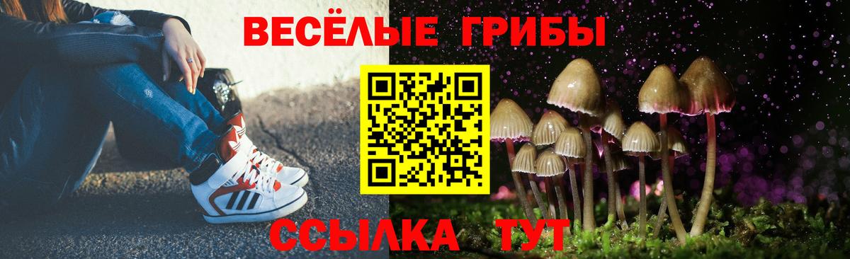цены   Псилоцибиновые грибы Psilocybine cubensis  Учалы  Вход с VPN  Псилоцибиновые грибы Psilocybe 