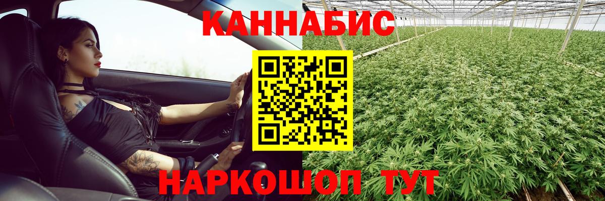 Бошки Шишки MAZAR Учалы